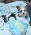 Wanda - Photo 1