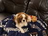 Xander - Photo 2