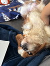 Xander - Photo 3