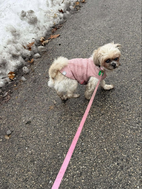 Tabitha - partial sponsor
