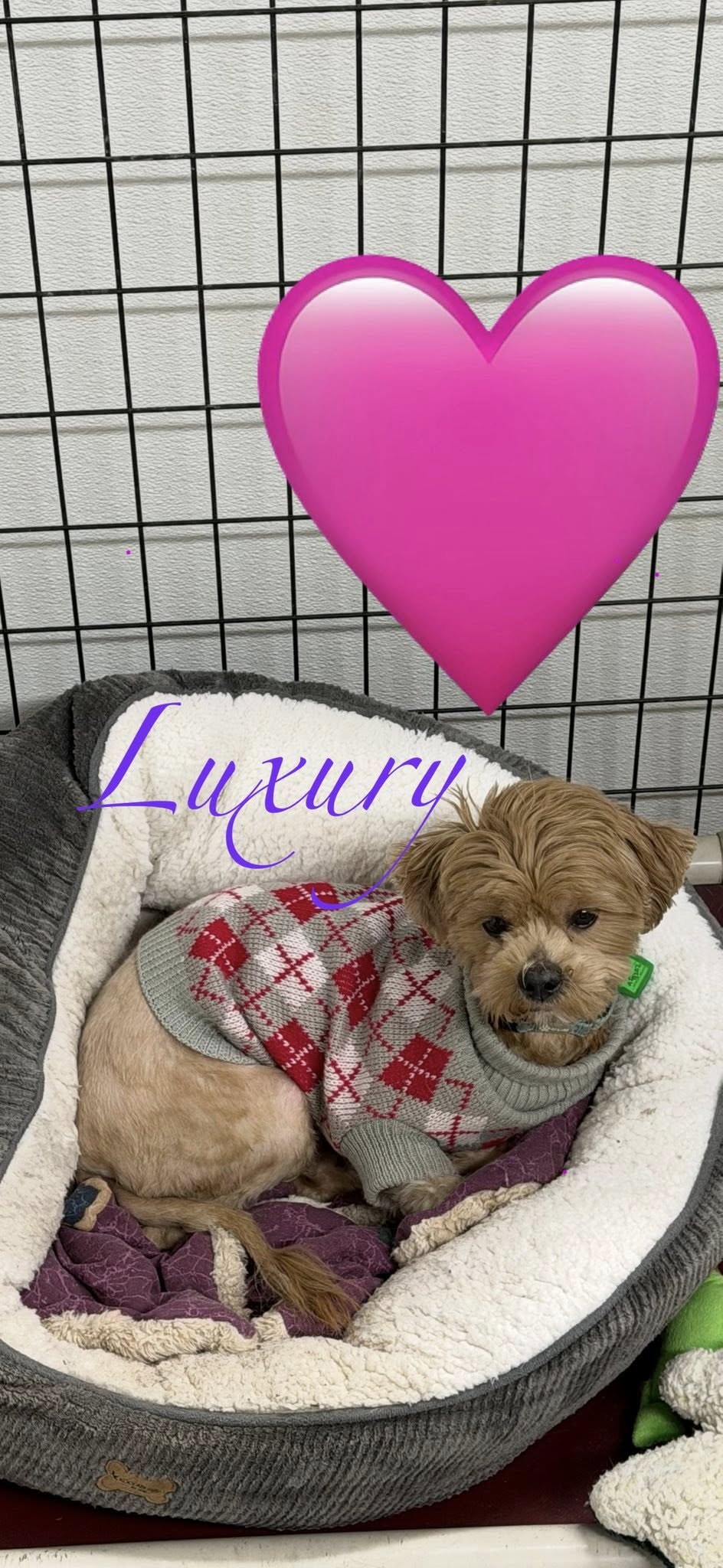 Luxury Image