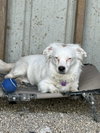 Bright Frankie - Photo 5