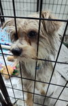 Miracle Mars and Pop Rocks Poppy - Photo 2