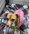 Miracle Mars and Pop Rocks Poppy - Photo 3