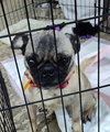 Vanellope Von Schweetz - Photo 1