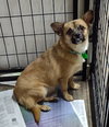 Beatrice Butterfinger - Photo 1