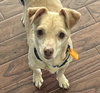 Pocky Paco - Photo 1