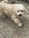 Larabar - Photo 1