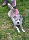 Poncho - Photo 1