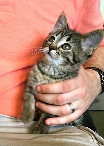 Ruthie (I Litter)