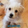 Memphis
