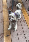 SASHA IN CINCINNATI OHIO
