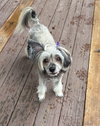 SASHA IN CINCINNATI OHIO