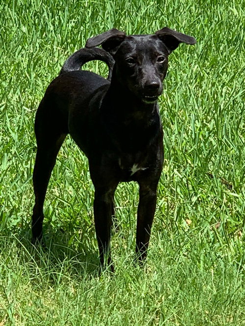 Luna In Texas photo 2