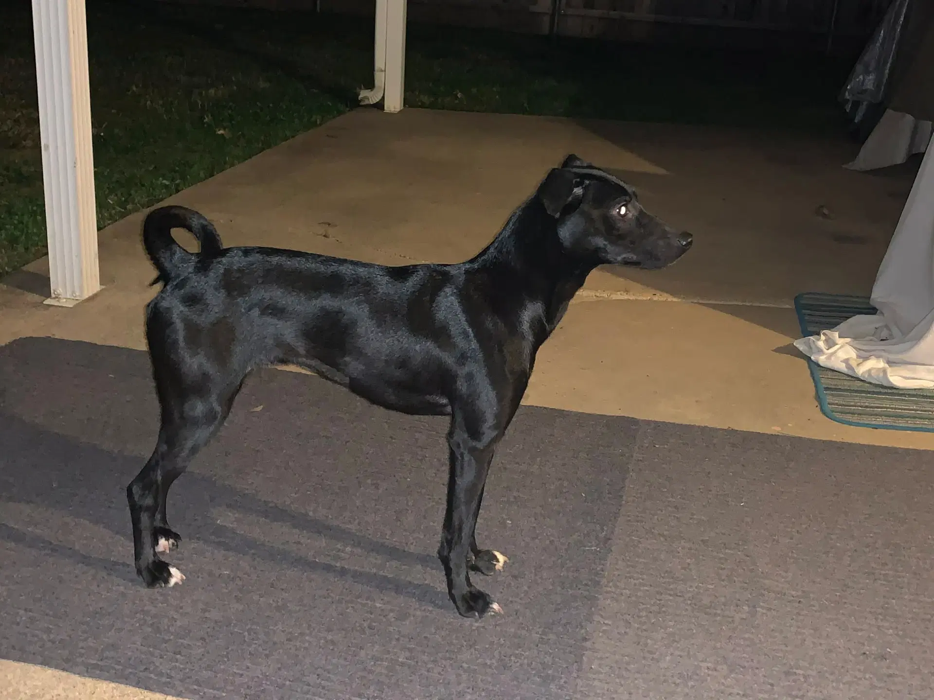 Luna In Texas image 3