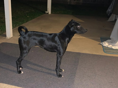 Luna In Texas photo 3