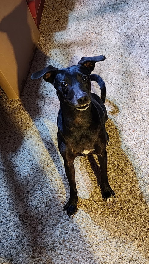 Luna In Texas photo 5