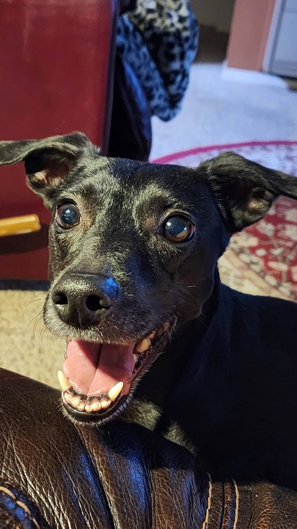 LUNA IN TEXAS