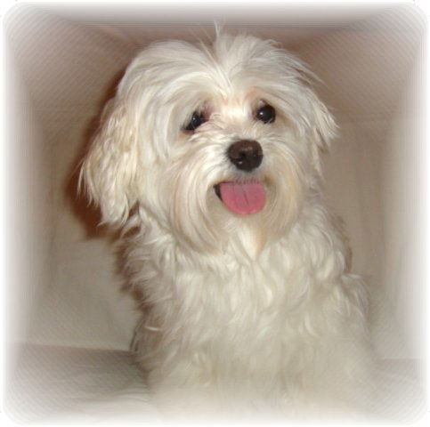 Valerie