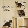 Jo - Little Women Kitten