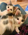 Jess & Jeni