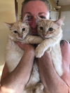 Pumpkin & Spice