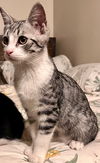 Delbert