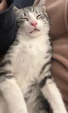 Delbert