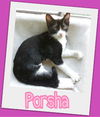 Porsha