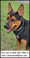 Radar - Photo 1