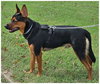 Radar - Photo 3
