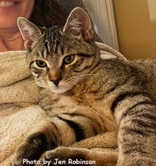 Photo 3 of Munchkin