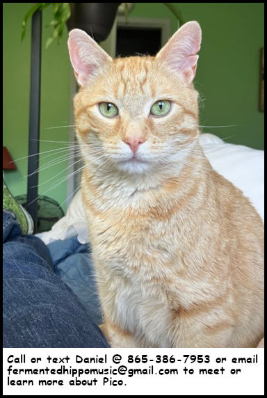 Pico