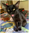 Felix - Photo 3