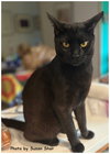 Felix - Photo 4