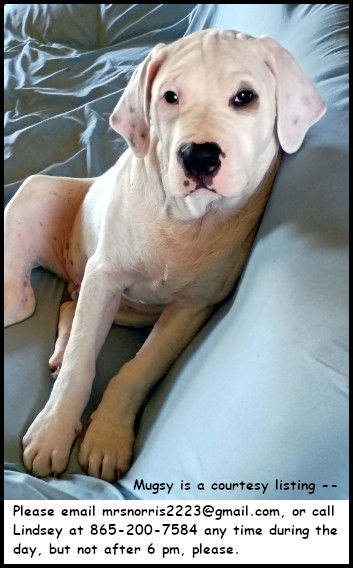 Mugsy