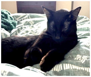 Photo 2 of JiJi