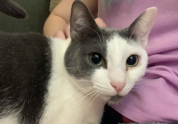 Gracie
