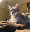 NALA