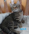 Max