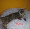Misty