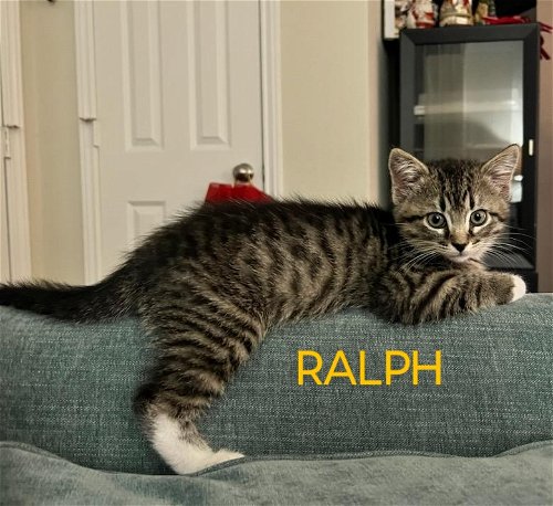 Ralph (and Alice)