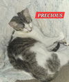 PRECIOUS