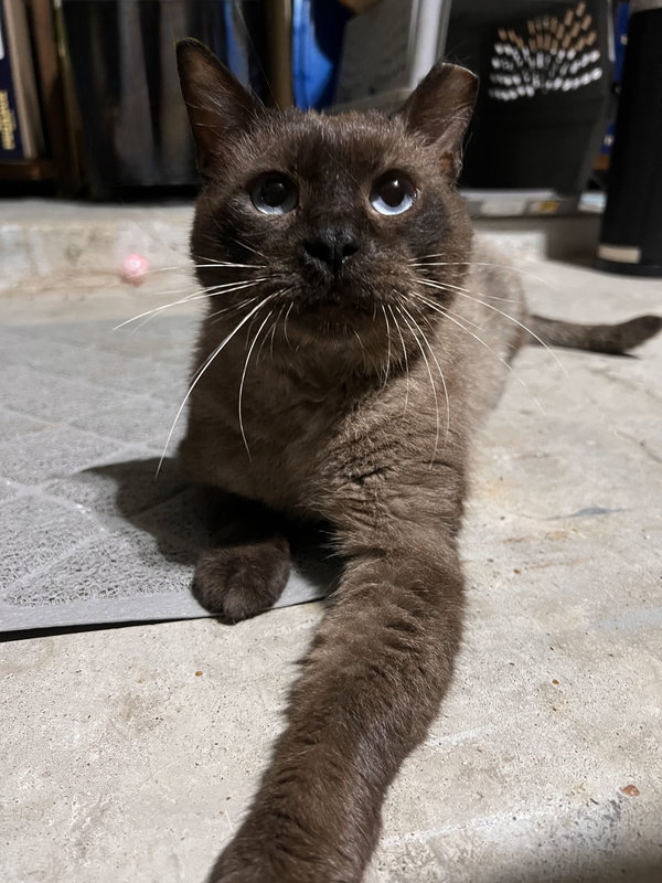 Tito