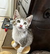 SUKI