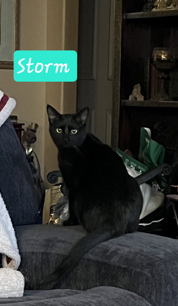 Storm