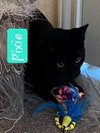 Pixie