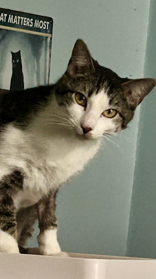 Leo