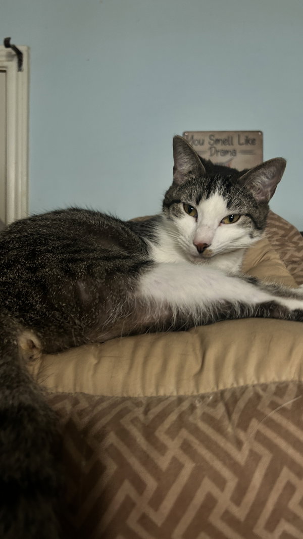 Leo