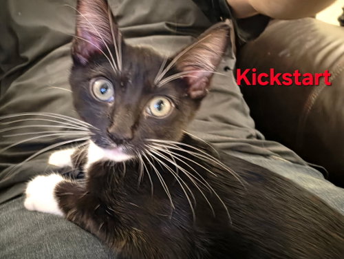 KICKSTART
